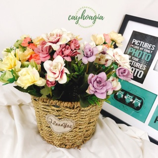 Hoa giả - Hoa Phi Yến Vintage nhí giả hoa khô