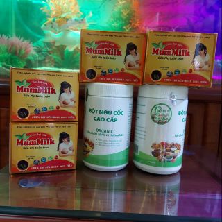 Combo lợi sữa