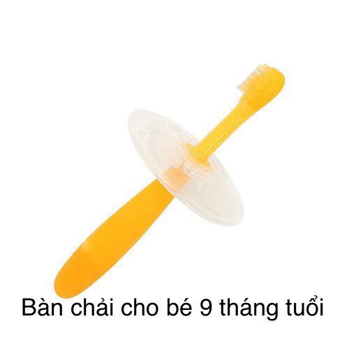 BỘ 3 BÀN CHẢI TẬP ĐÁNH RĂNG CHO BÉ THEO TỪNG ĐỘ TUỔI PIGEON (4.5 THÁNG -9 THÁNG -1 TUỔI), bộ bàn chải tập đánh răng sữa