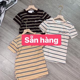 Áo tăm kẻ sọc co giãn 4 chiều