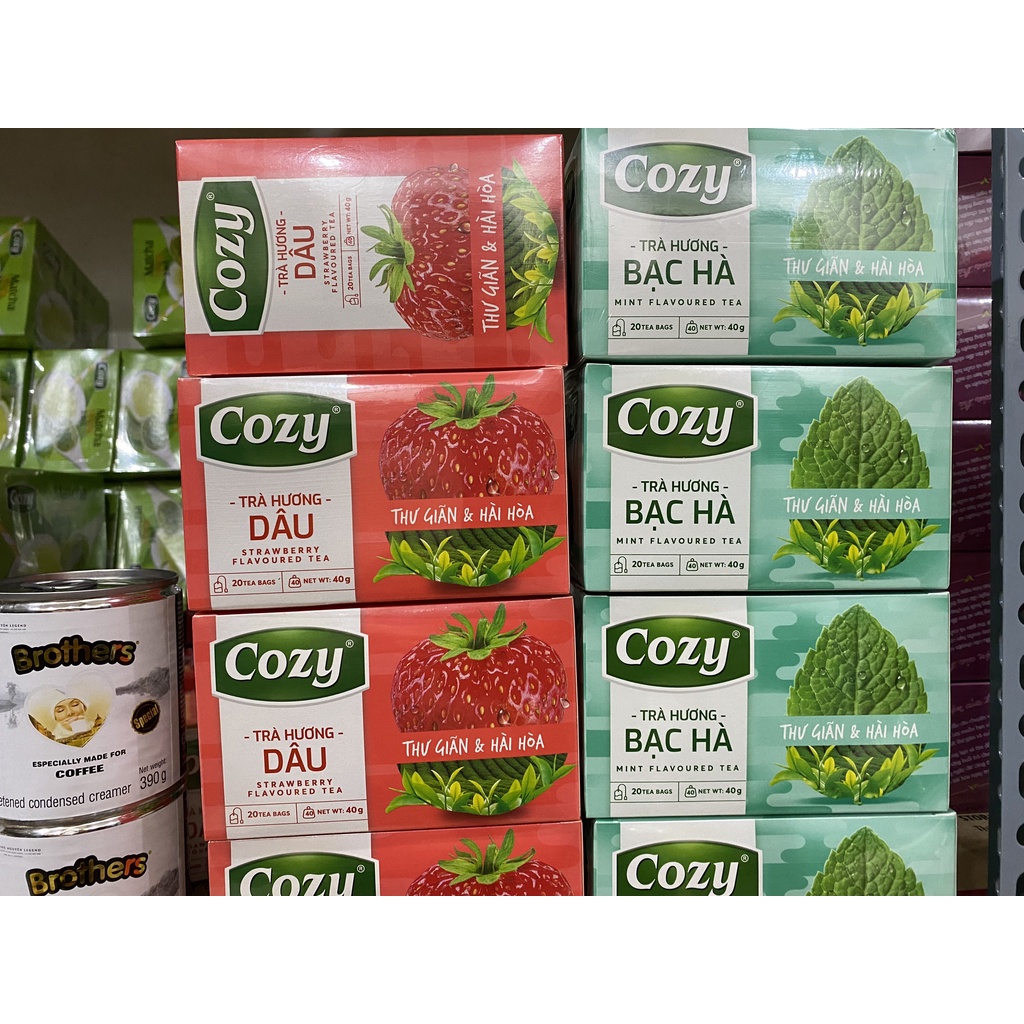 TRÀ COZY TÚI LỌC HƯƠNG DÂU - ĐÀO - BẠC HÀ  - SEN - NHÀI