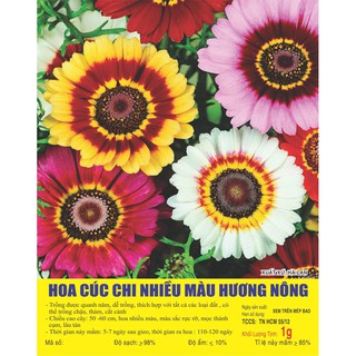 Hạt hoa cúc chi nhiều màu - gói 1 gram