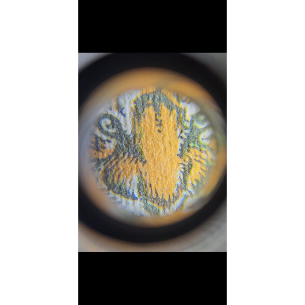 Kính hiển vi mini X60 , có đèn cực tím và led siêu sáng  - LED MICROSCOPE60X | Baystore