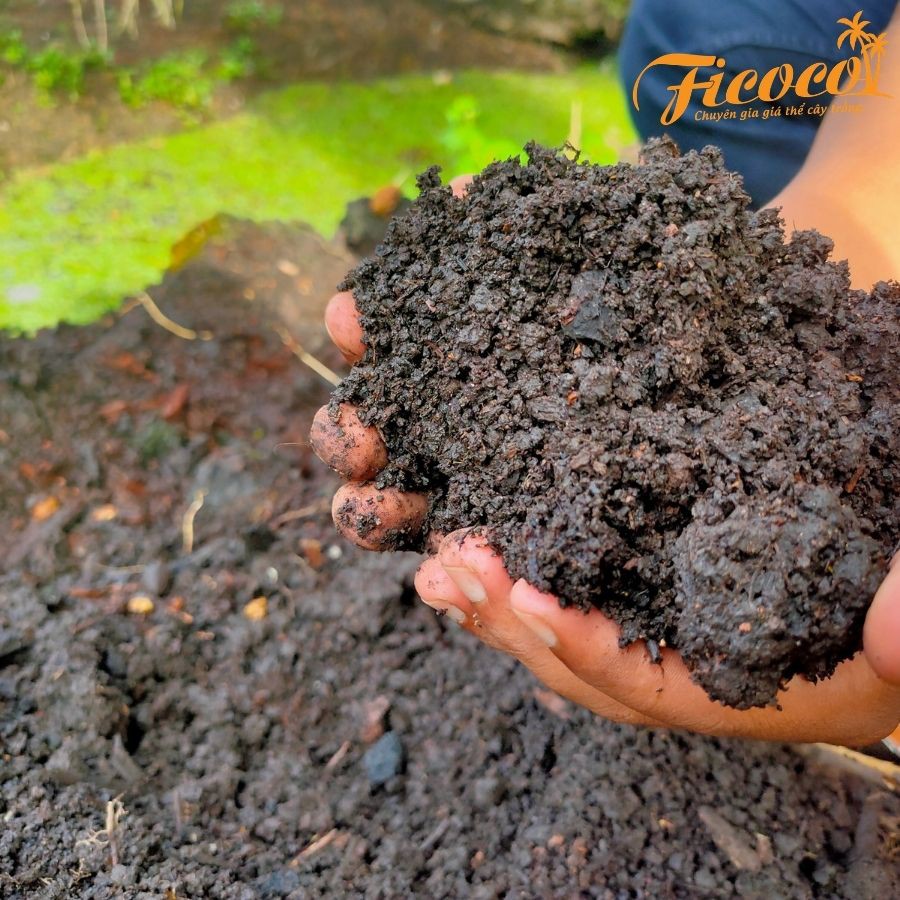 Than bùn Peat moss - FICOCO - 70 lít - Giá thể ươm mầm, trồng cây - Rêu than phân huỷ