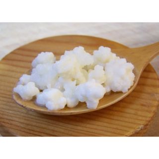 Kefir [NẤM KHOẺ] nấm sữa chua  tây tạng hướng dẫn cách làm đến lúc thành công