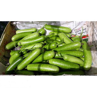 Hạt Giống Bầu Sao F1 Siêu Trái 2gr