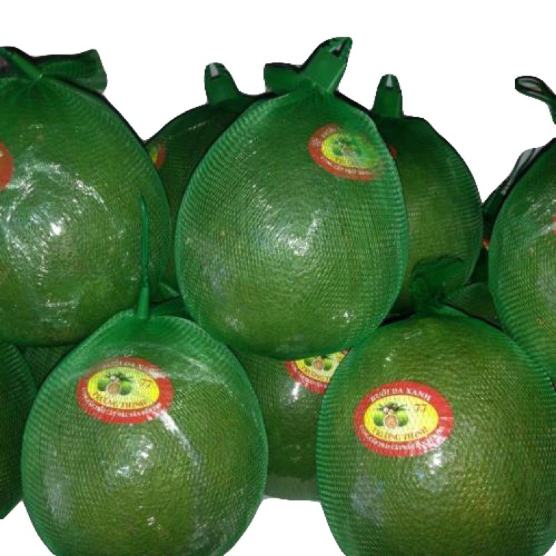Bưởi da xanh bến tre, bưởi da xanh | BigBuy360 - bigbuy360.vn