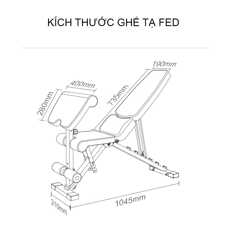 Ghế Tập Tạ Điều Chỉnh Đa Năng FED-XM0117 (Bảo hành 12 tháng)