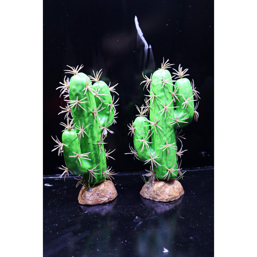 Cây xương rồng giả trang trí chuồng bò sát