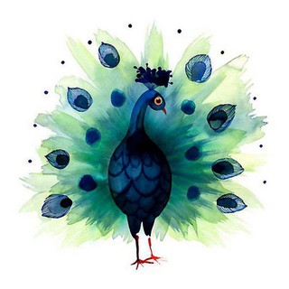 5D Diamond Painting Embroidery Cross Stitch Diy Kit Peacock Craft Art