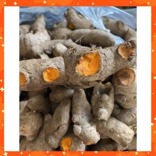 500g Củ nghệ tươi, nghệ già vàng- tươi ngon mỗi ngày .