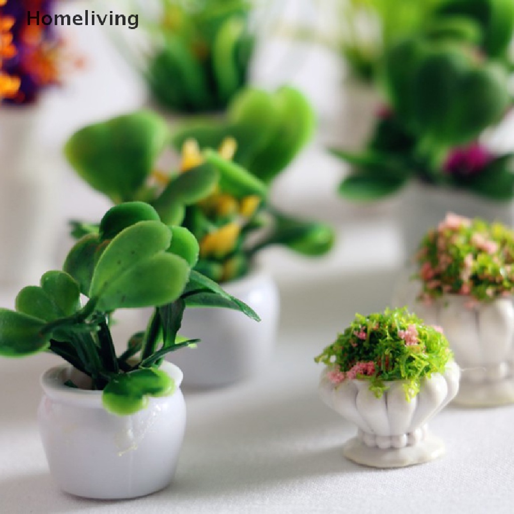 Chậu Cây Mini 12 Kiểu 1: 12 Thân Thiện Với Môi Trường Trang Trí Nhà Búp Bê