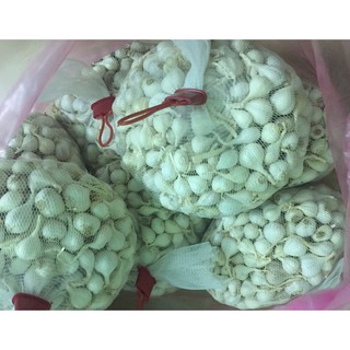 Tỏi Lý Sơn 3-4 tép (0,5kg)