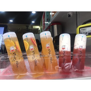 Bộ 50 Chai nhựa PP 500ml