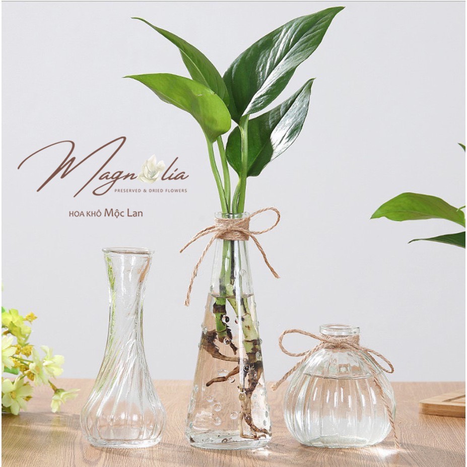 Lọ thủy tinh cắm hoa 🍁FREESHIP🍁 Lọ hoa quán thừng decor xinh xắn phong cách Bắc Âu Vintage