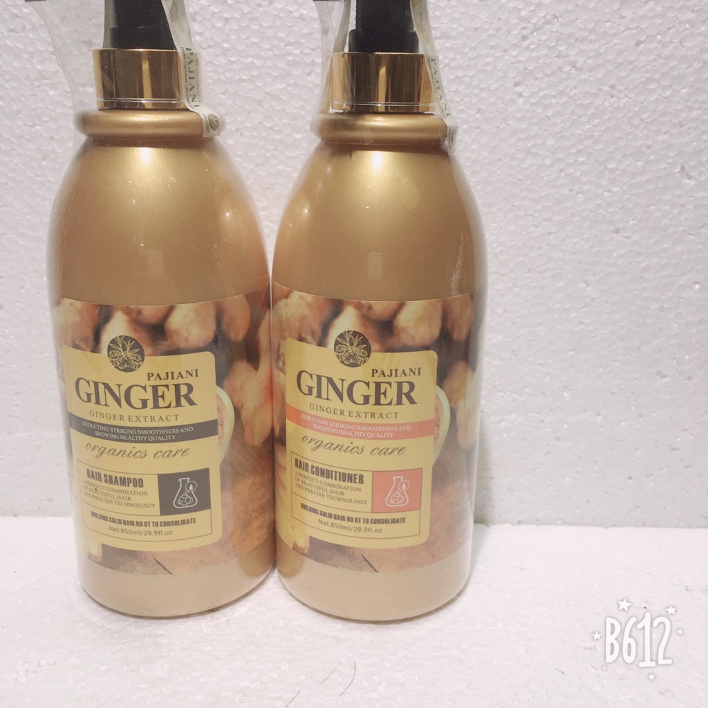 Dầu gội xả GINGER