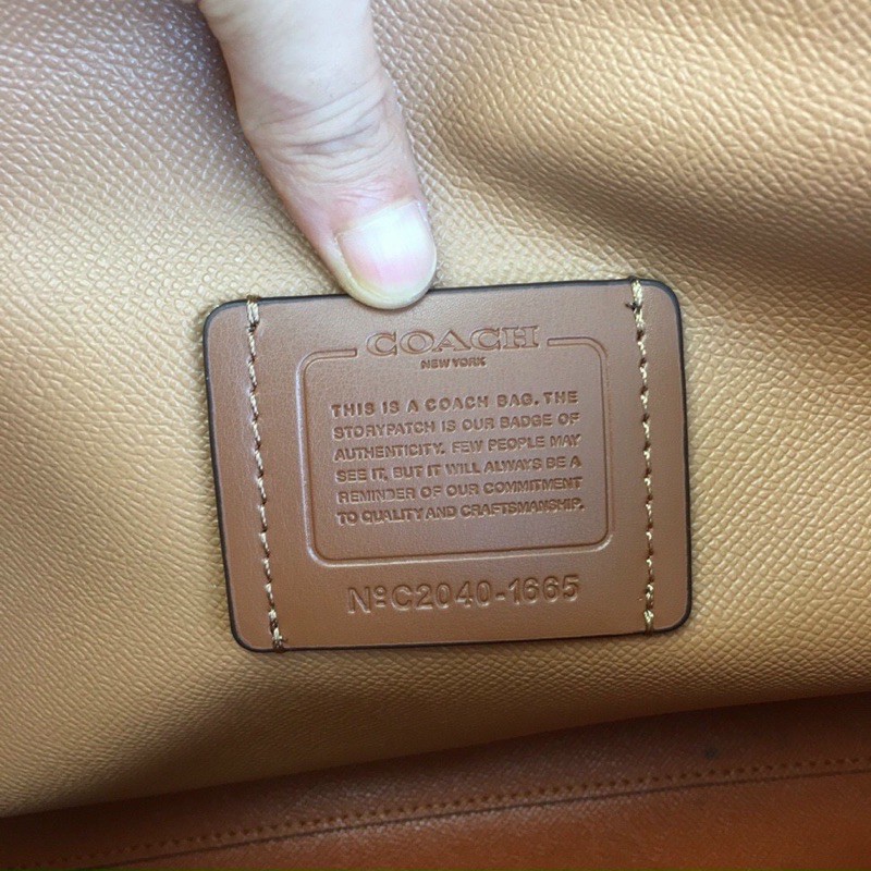 TÚI COACH MOLLIE TOTE 1665