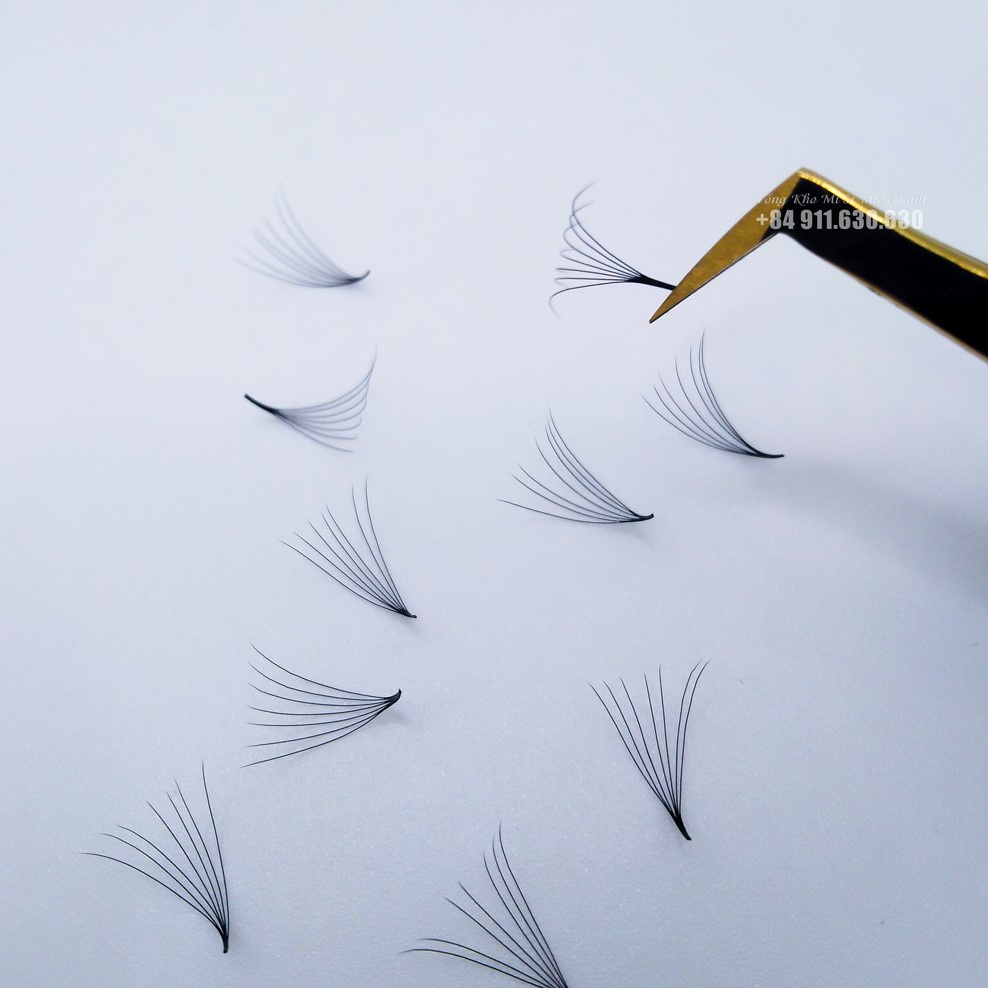 Mi Fan 7d - 0.07 - 500fan - Mi Fan/ Xuất Khẩu - Dụng Cụ Nối Mi - Huy Hoàng Mi