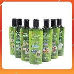 Sữa tắm cho chó mèo Olive Essence - 450ml/chai - khử mùi,diệt khuẩn,diệt ve giận,làm đẹp chống rụng lông