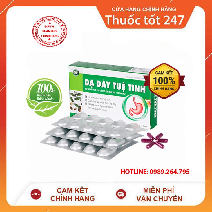 ✅ DẠ DÀY TUỆ TĨNH CHÍNH HẠNG | BigBuy360 - bigbuy360.vn