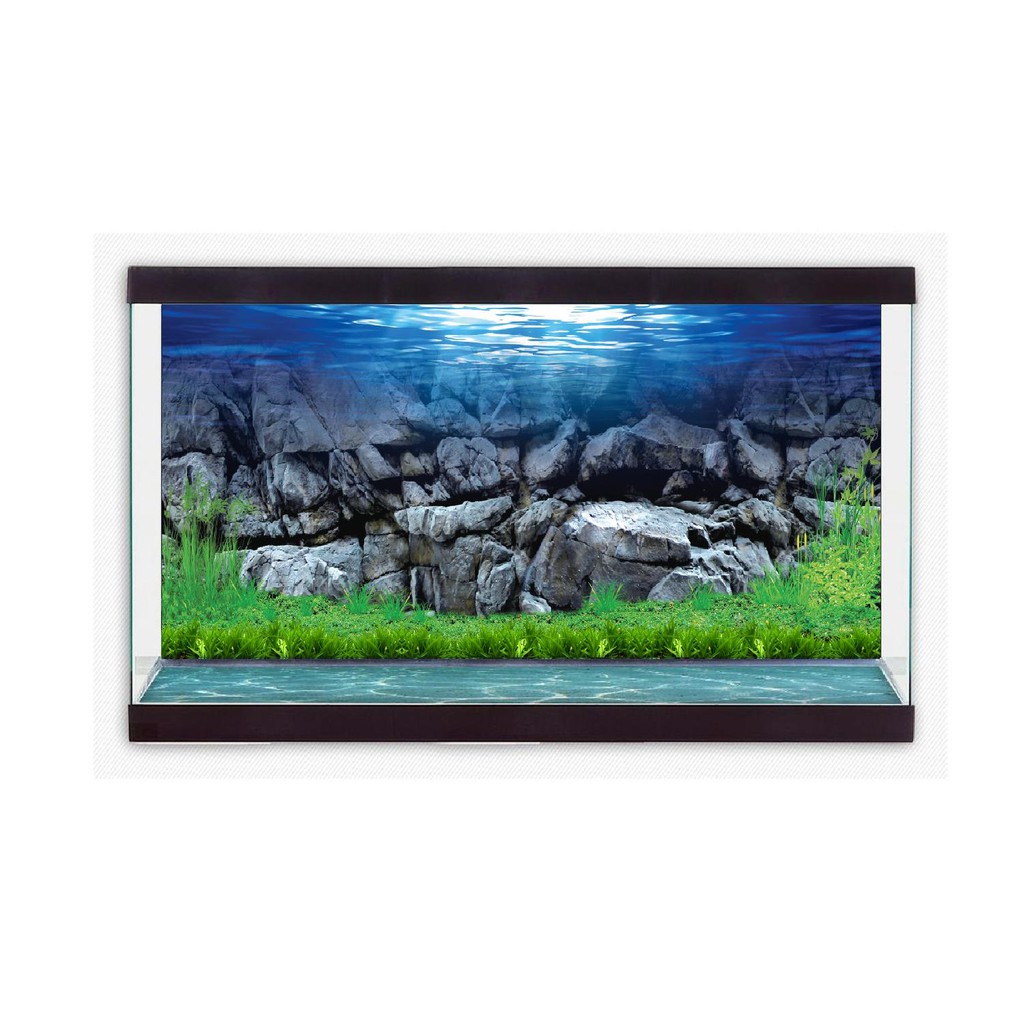 TRANH DECAL DÁN HỒ CÁ 3D_DECAL NÀNG THƠ