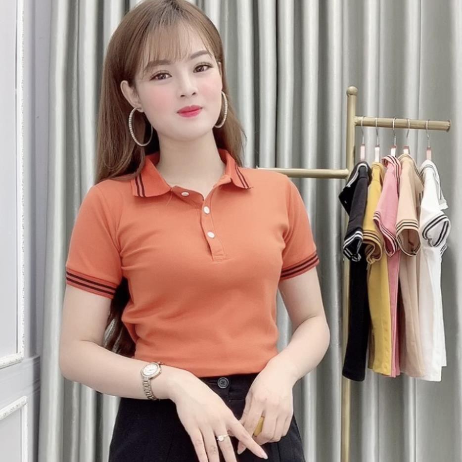 Áo Thun Polo Nữ Trơn Basic Tay Ngắn Cổ Bẻ Cotton Trẻ trung | BigBuy360 - bigbuy360.vn