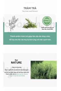 Nước hoa hồng cho da dầu mụn Essenherb