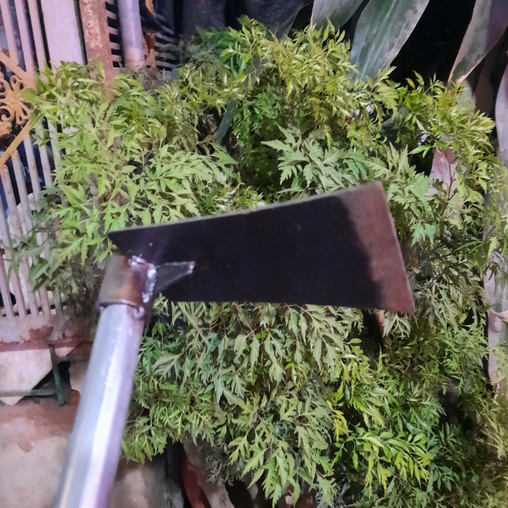 Cuốc làm vườn cán sắt dài  50cm