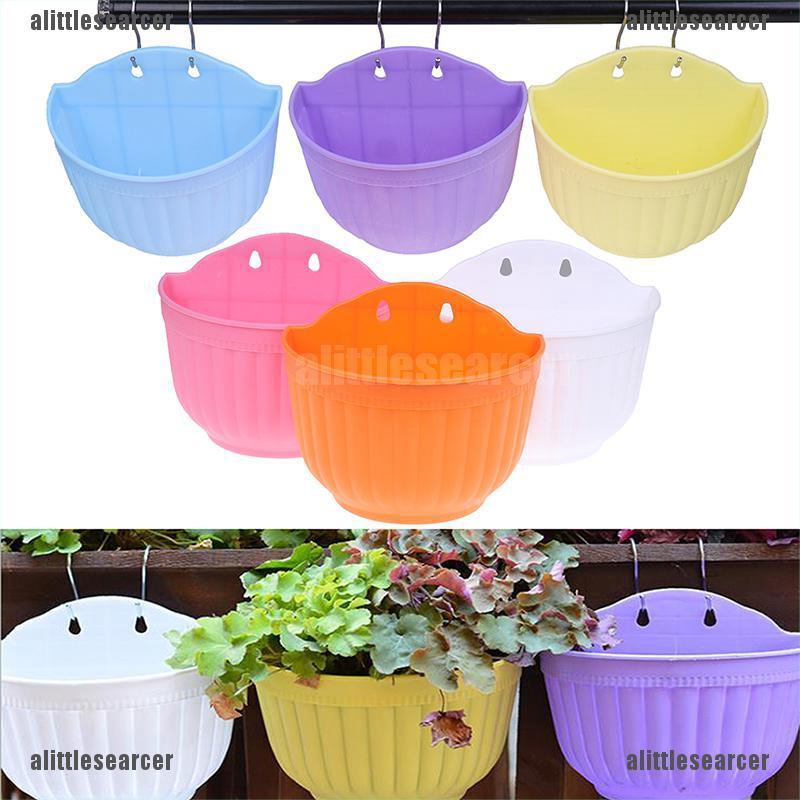 1 Chậu Hoa Treo Tường