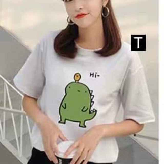 [FREESHIP ĐƠN TỪ 50K] Áo phông Hi khủng long HARI0320