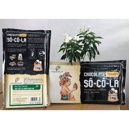 Socola Đen Decor