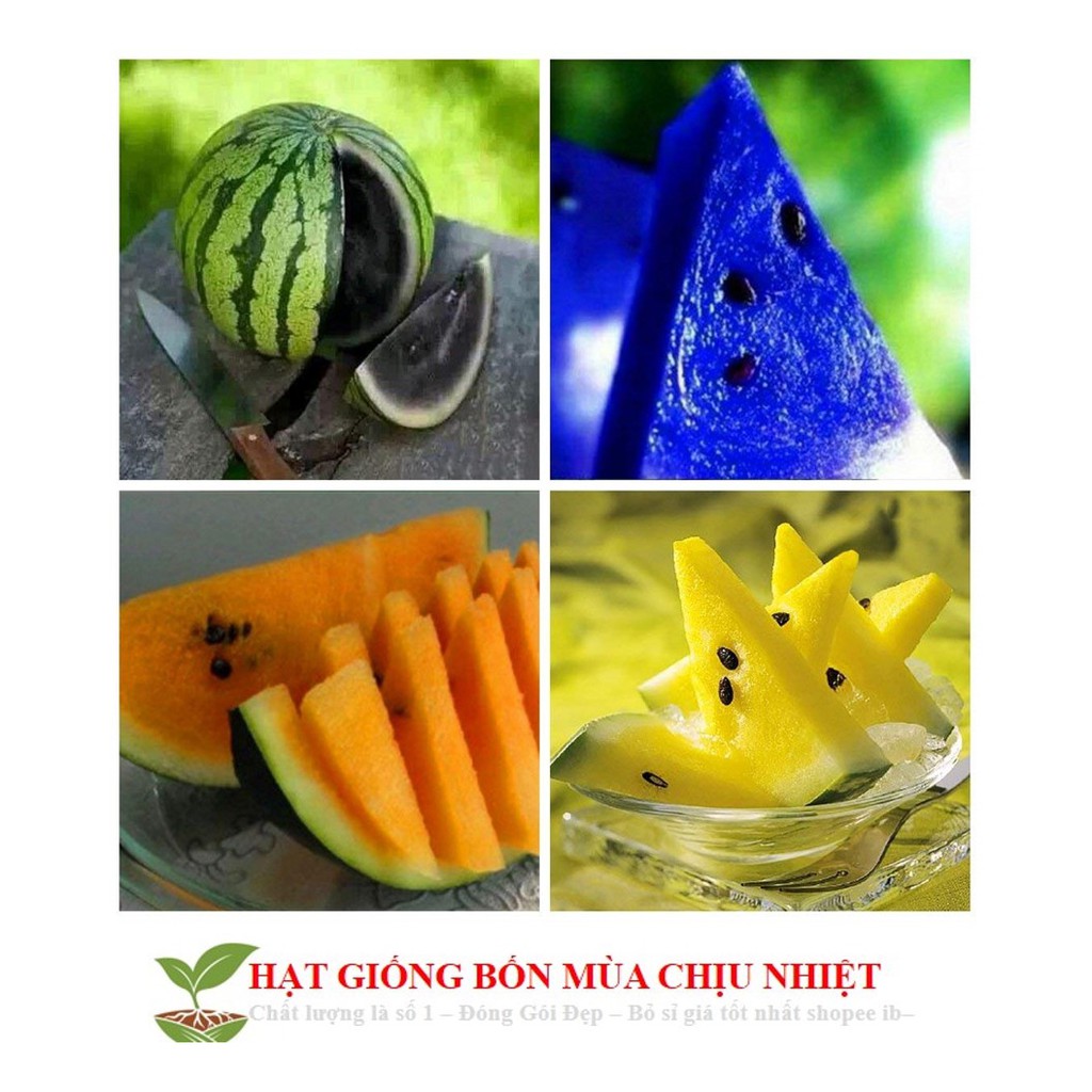 Hạt giống dưa hấu cầu vồng 10 HẠT