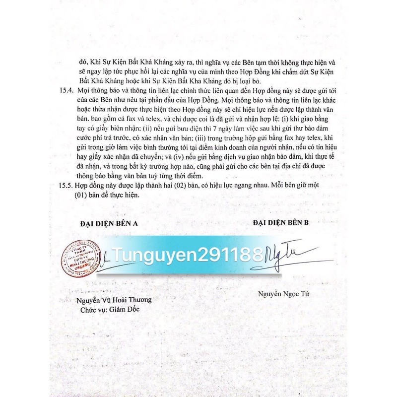 Nấm giảm cân SBODY GREEN COFFEE (Nấm Cafe Chính hãng) | BigBuy360 - bigbuy360.vn