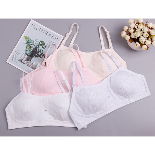 Bra / Áo Lá Cotton Nữ Sinh Cài Sau Xuất Đông Âu ( A237 ) Hàng Loại Đẹp.