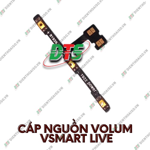 Dây phím bấm lớn nhỏ dành cho vsmart live
