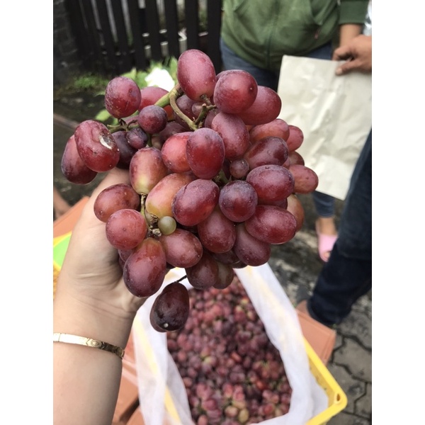 nho ruby ko hạt