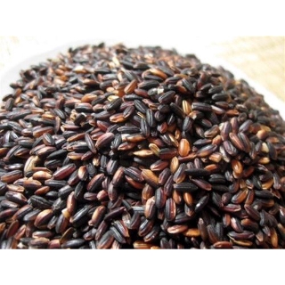 Nếp than (nếp cẩm) 1 KG