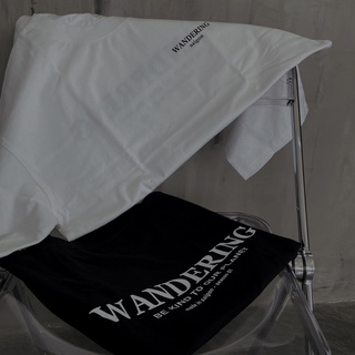 Áo Wandering basic tee 01
