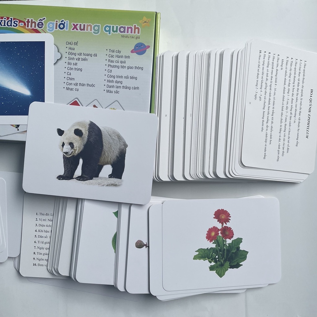 Bộ thẻ Flashcard cho bé -  Thế Giới Xung Quanh Flashcard theo phương pháp Glenn Doman (Hộp 300 Thẻ) - TN0006