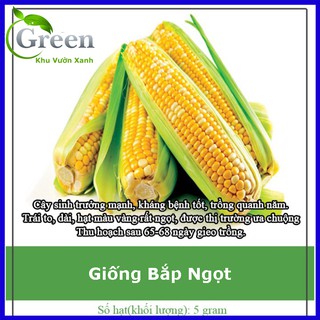 Hạt Giống Bắp Ngọt (Bắp Mỹ)