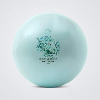 Bóng Tập Yoga 55/65/75cm