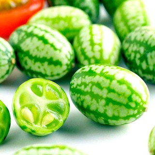 Dưa hấu tí hon
