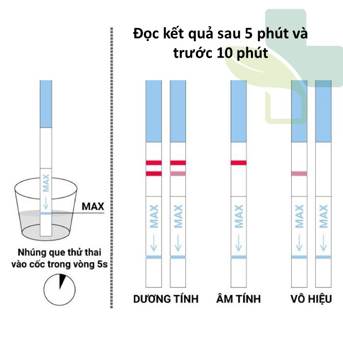 Que thử thai Chip Chips - Chính hãng dược phẩm Nhất Nhất