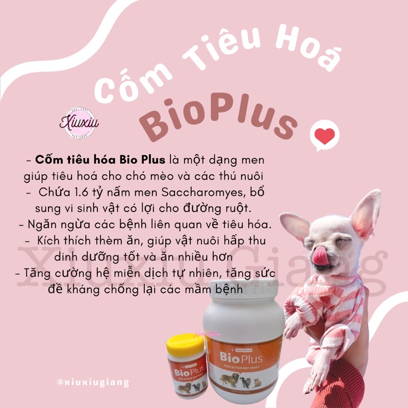 Cốm Men Tiêu Hoá BioPlus - Xiuxiu Giang