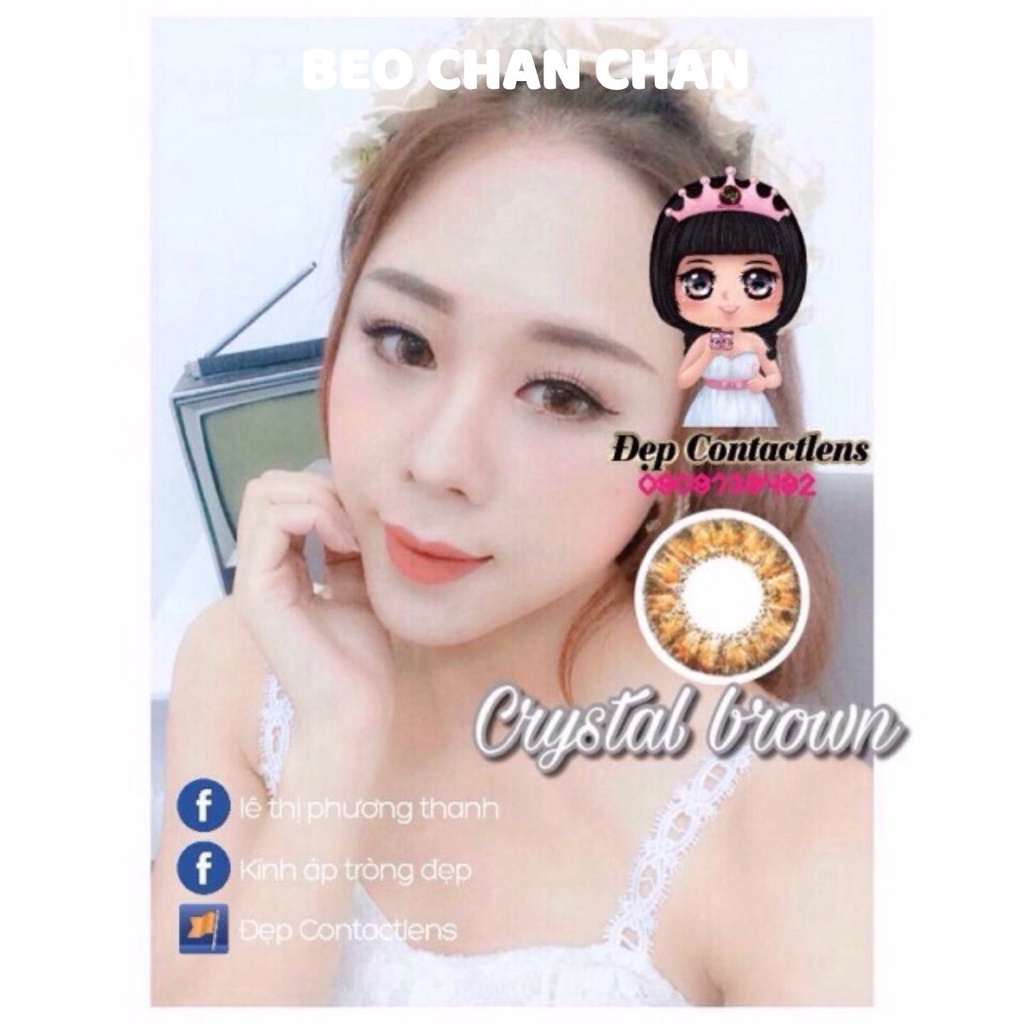 Lens Vassen Hàn Quốc và phụ kiện_ Crystal brown
