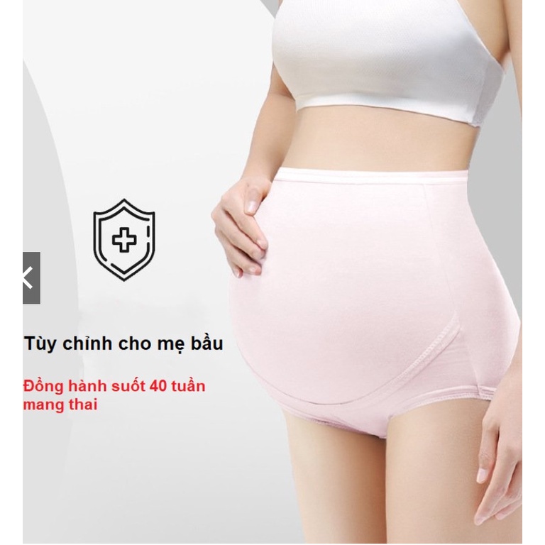Quần lót bầu cạp cao nâng đỡ bụng bầu,đáy quần kháng khuẩn. quần lót QL29021 đơn giản dễ mặc hàng đẹp