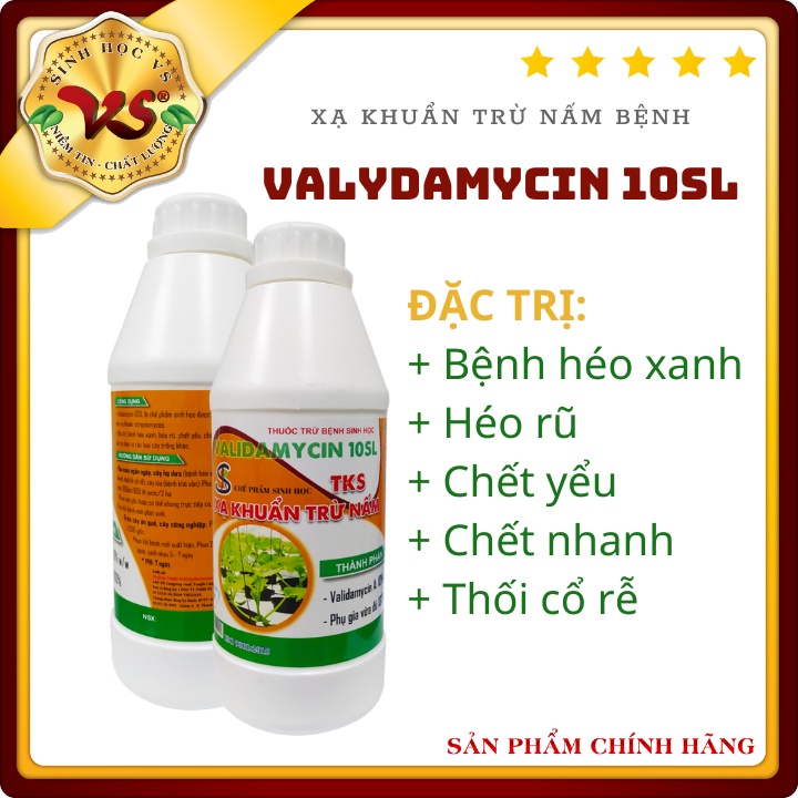 XẠ KHUẨN CHUYÊN XỬ LÝ THỐI CỎ RỄ, HÉO XANH, THỐI NHŨN - VALIDAMYCIN 10SL - Chai 900ml