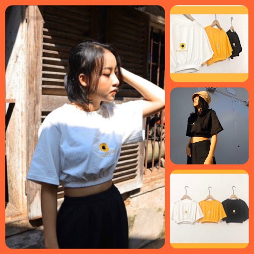 Áo thun croptop thêu hoa cúc bo eo HÀNG Y HÌNH 100%