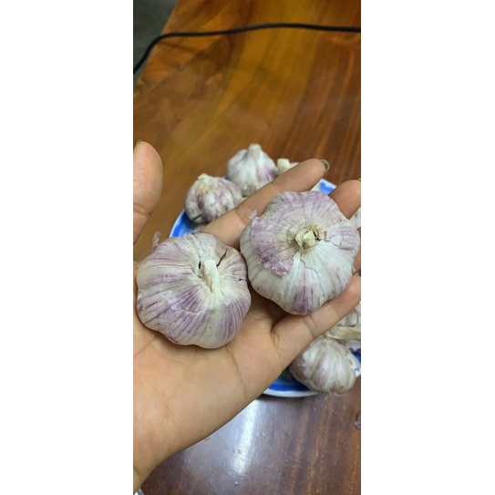 COMBO 10kg tỏi bắc , tỏi lý sơn