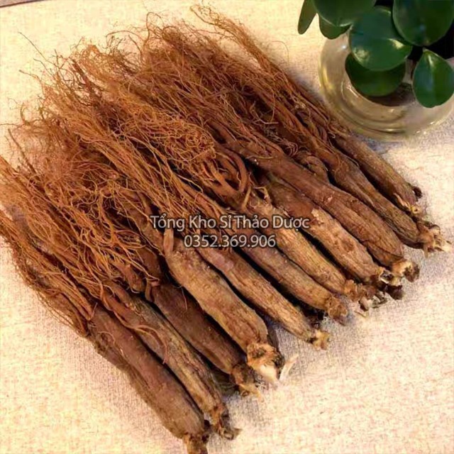 Nhị Hồng Sâm Cát Lâm 1kg (Hồng Sâm không tẩm đường)